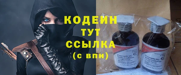хмурый Абаза