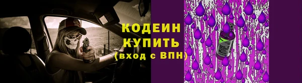 хмурый Абаза