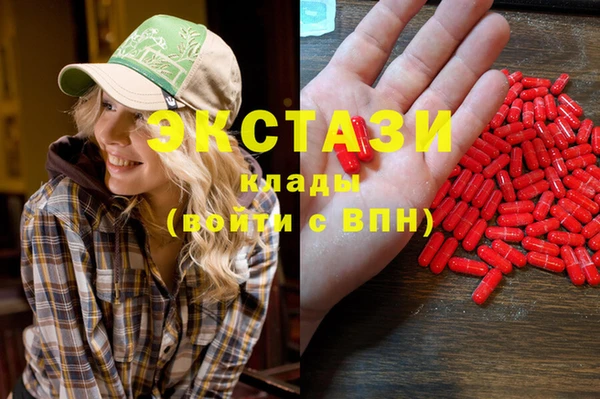 хмурый Абаза