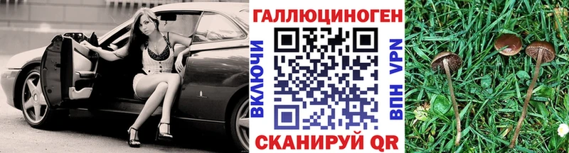 Псилоцибиновые грибы Psilocybe  наркота  hydra как войти  Холмск 