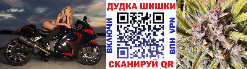 Конопля план  Холмск 